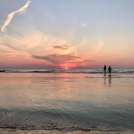 Guest house Hippocampus Aan Zee Katwijk aan Zee
