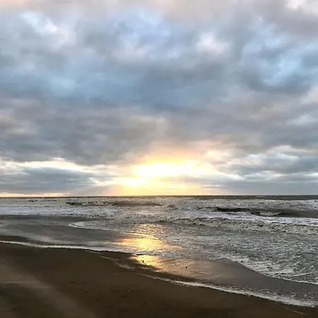 Guest house Hippocampus Aan Zee 3*
