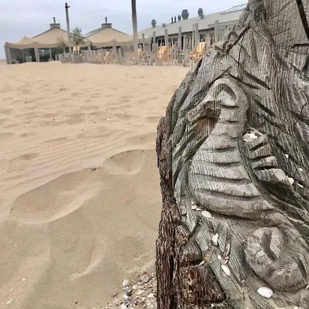 Hippocampus Aan Zee